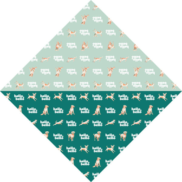 Bandana