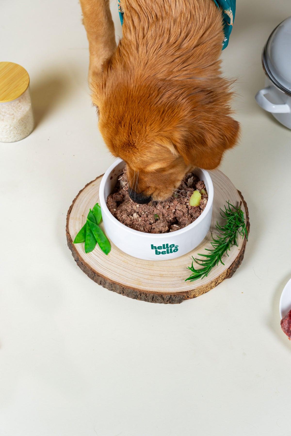 Rigeltanz HelloBello Frischfutter mit Schwein