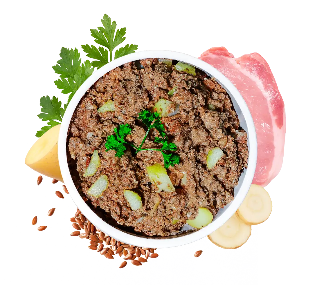 Rigeltanz HelloBello Frischfutter mit Schwein